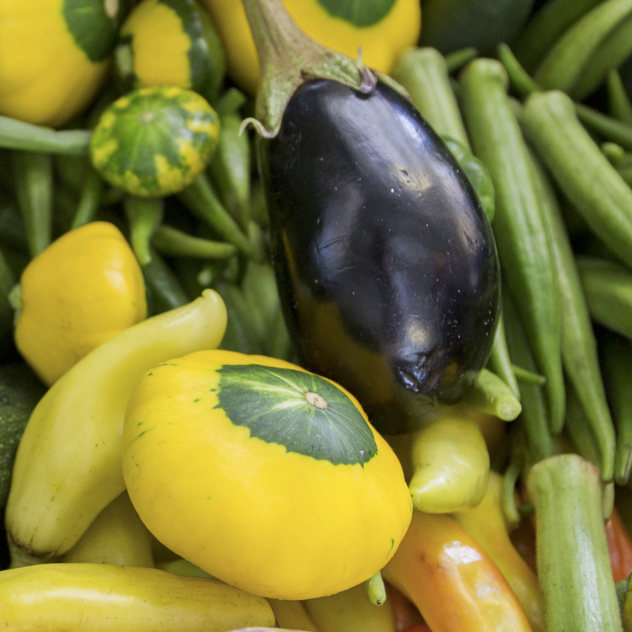Photo: A taste of summer's bounty (squash, eggplant, and okra). Photo provided by the authors.