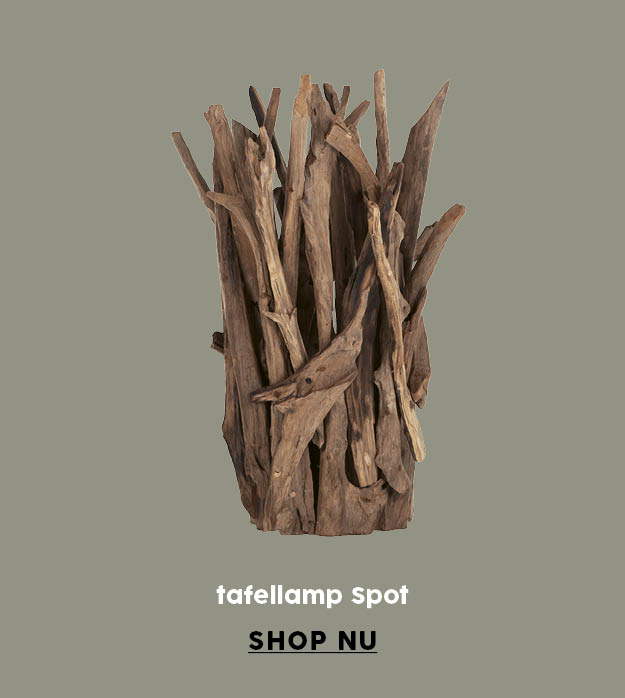 lamp Spot