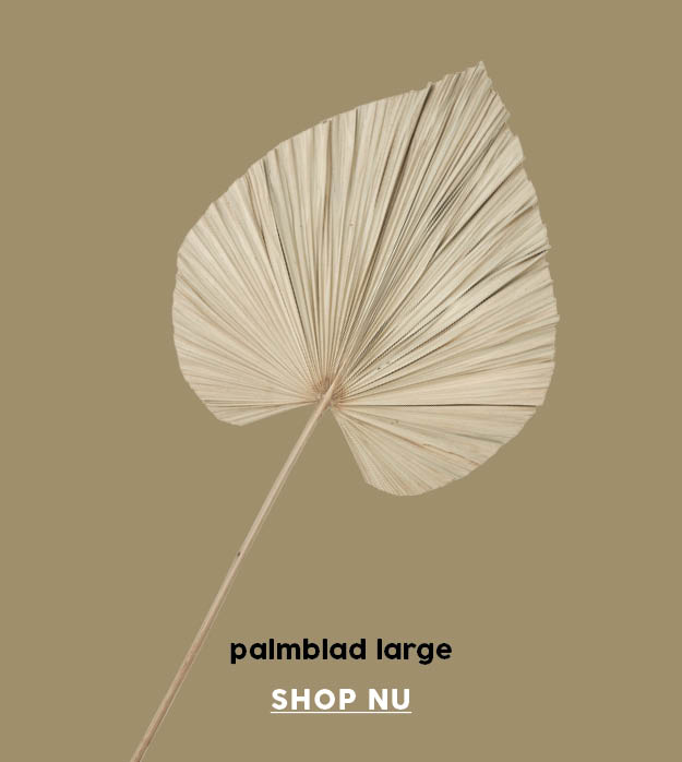 palmblad