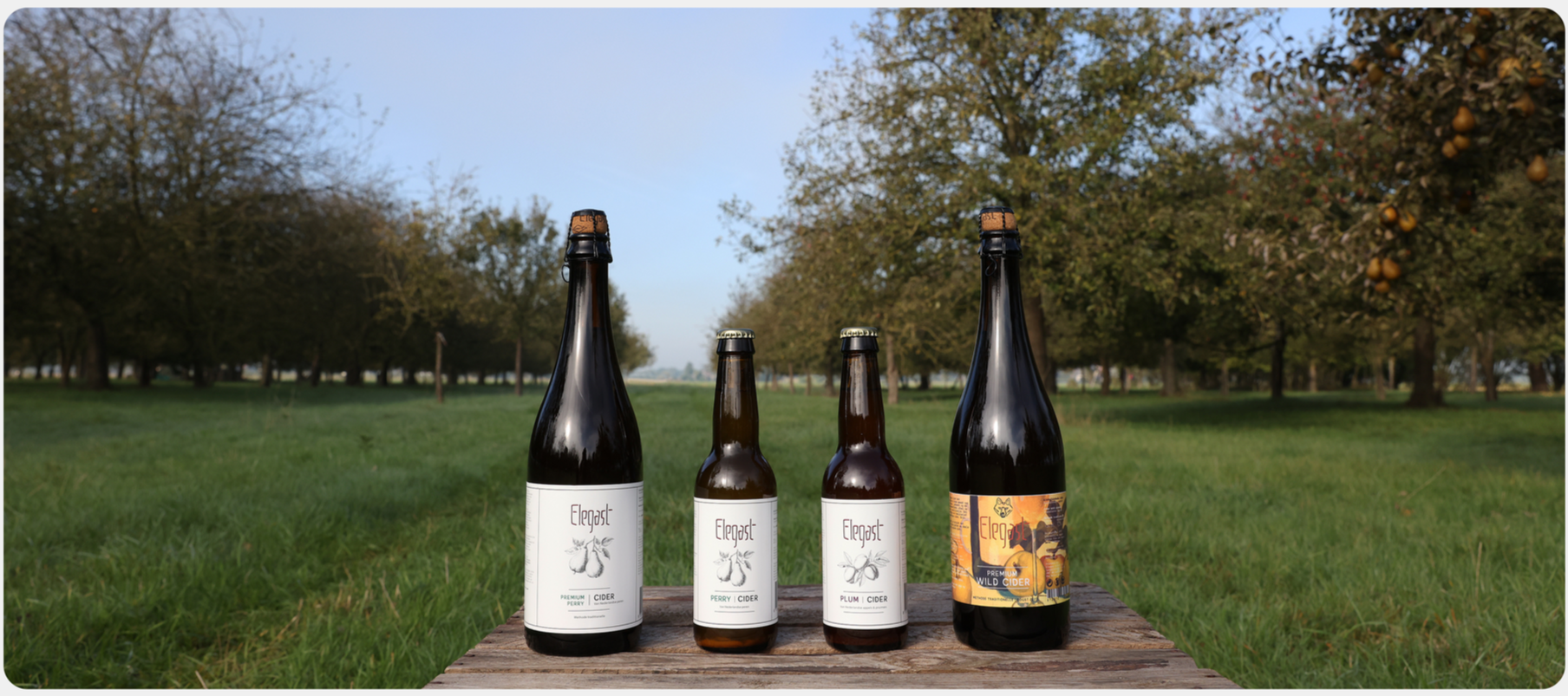 Elegast Cider