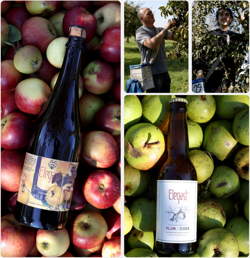 Elegast Cider