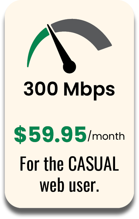 300 Mbps $59.95 per month - For the casual web user