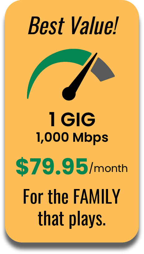 Best value! 1 Gig 1,000 Mbps $79.95 per month - For the family that plays