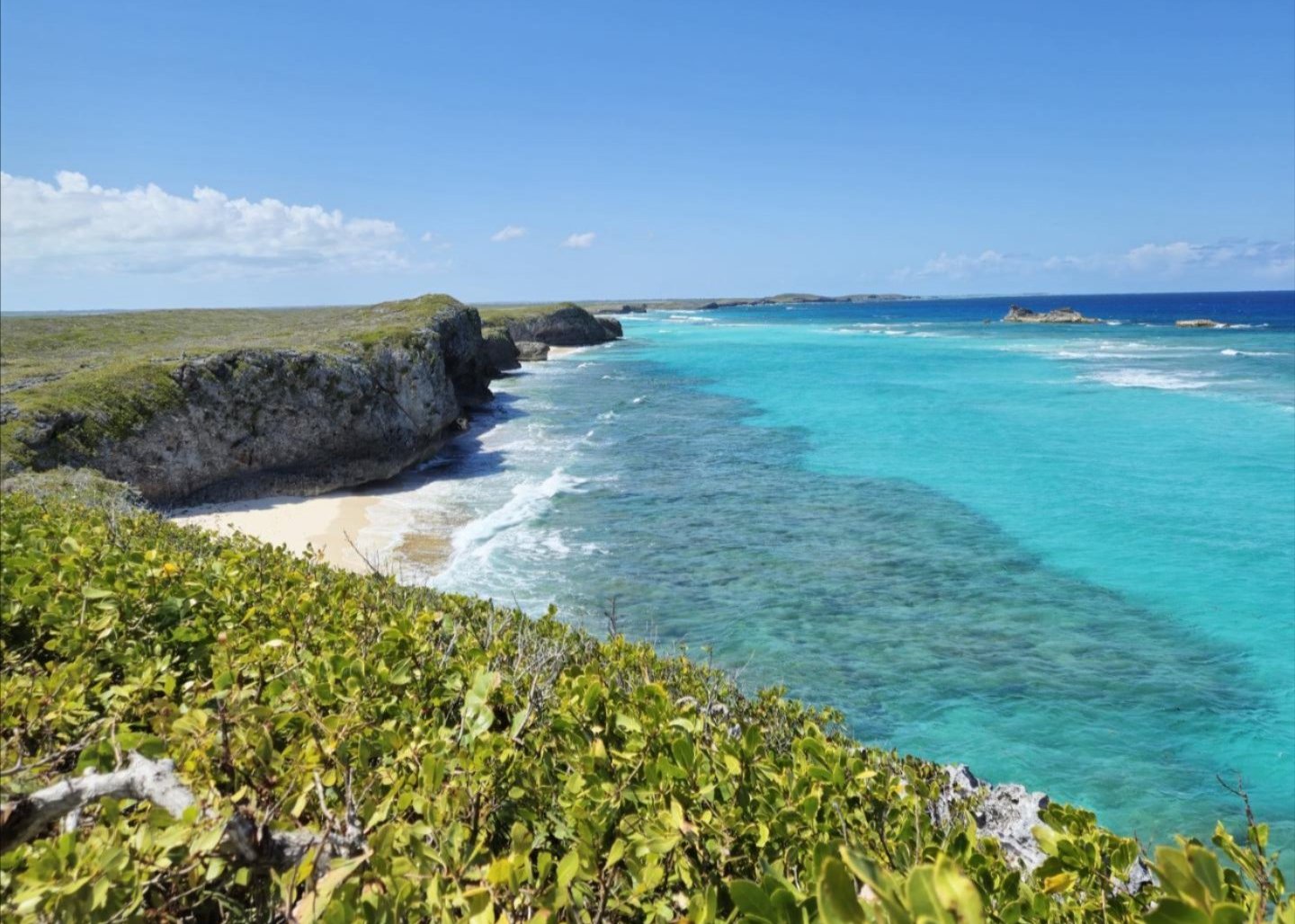 Jaeyun An ’26 scuba diving