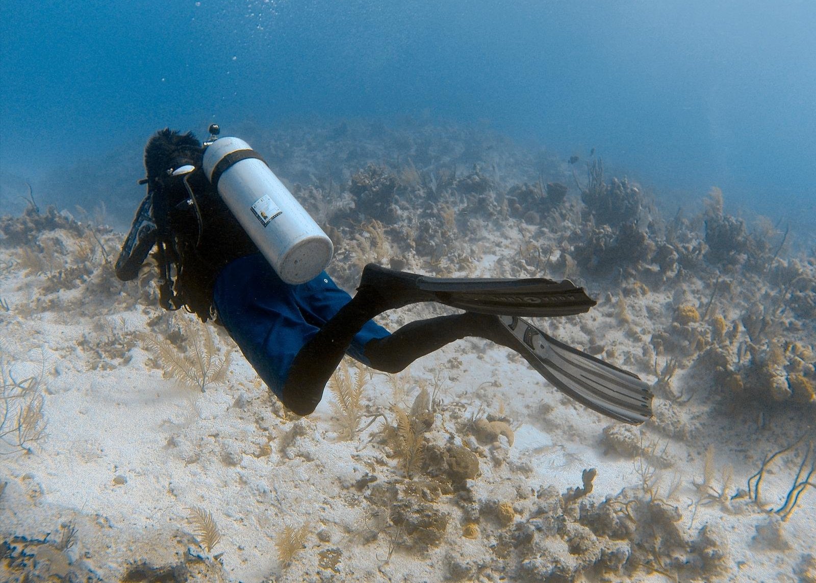 Jaeyun An ’26 scuba diving