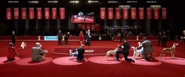 December 2025 Gazette