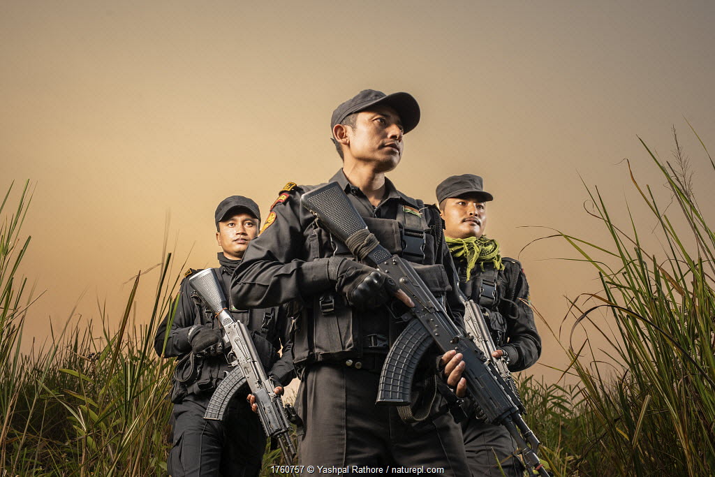 World Rangers World Ranger Day, celebrated on July 31, honours the vital work of ...