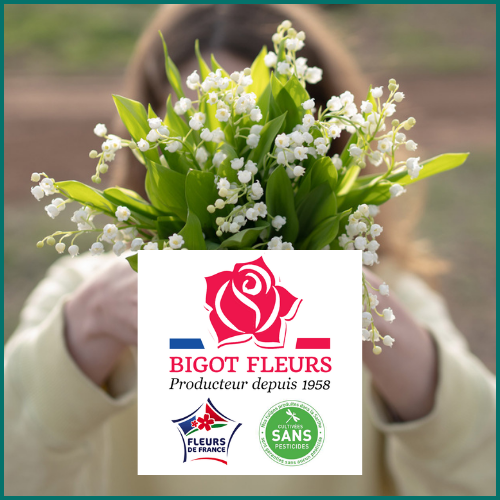 Offre de muguet chez Bigot Fleurs