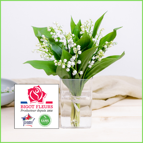 Offre BIGOT FLEURS