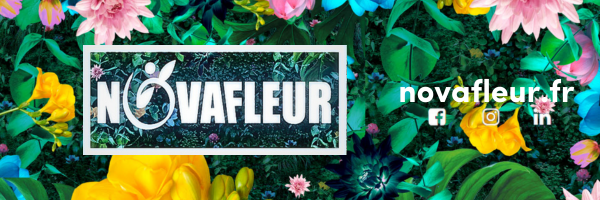 Salon Novafleur