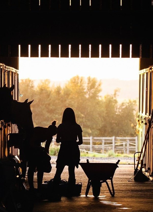 Barn work