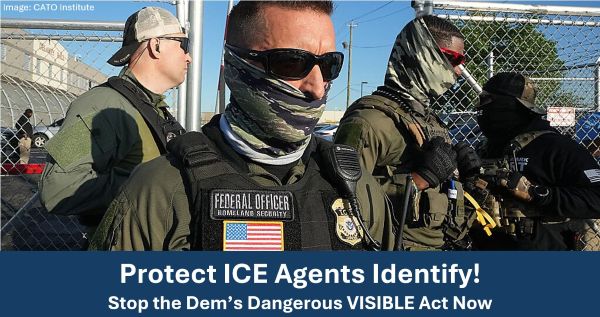 Protect ICE Agents