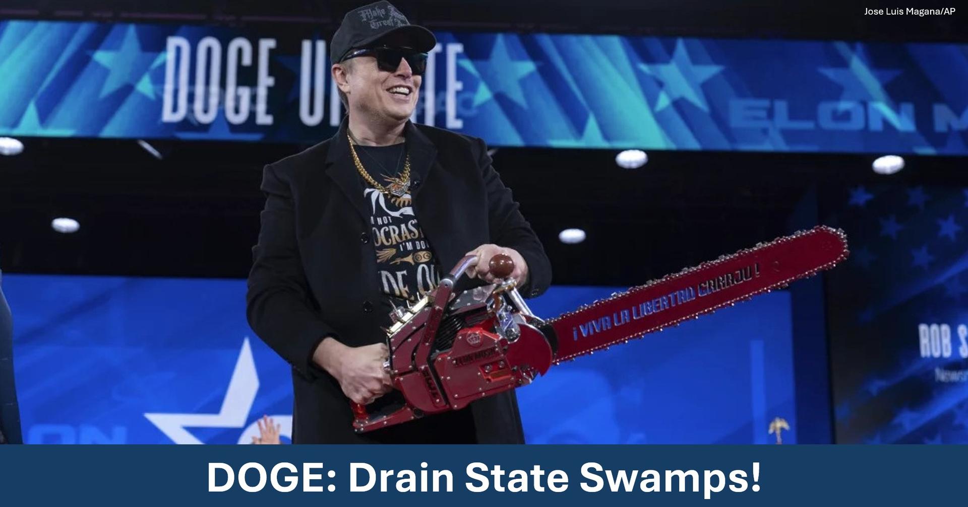 DOGE: Drain State Swamps