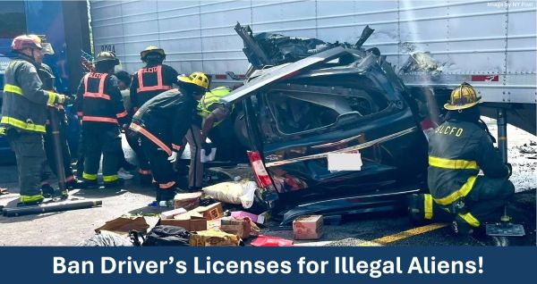 Ban Driver's Licenses for Illegal Aliens