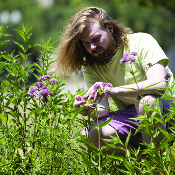 Campus Sustainability