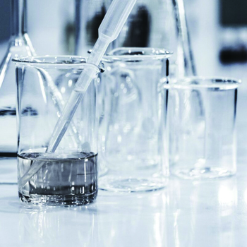 NSF grant