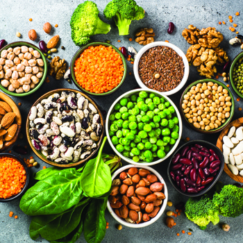 Vegetarian Protein
