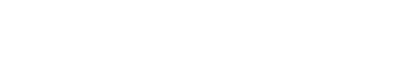 NPT logo NPT logo