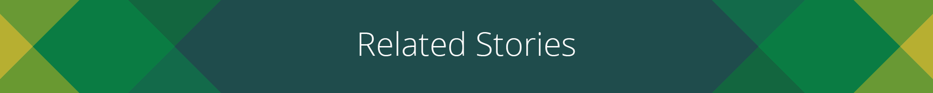 Related Stories section banner