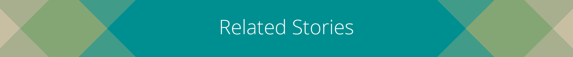 Related Stories section banner