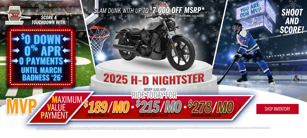Nightster