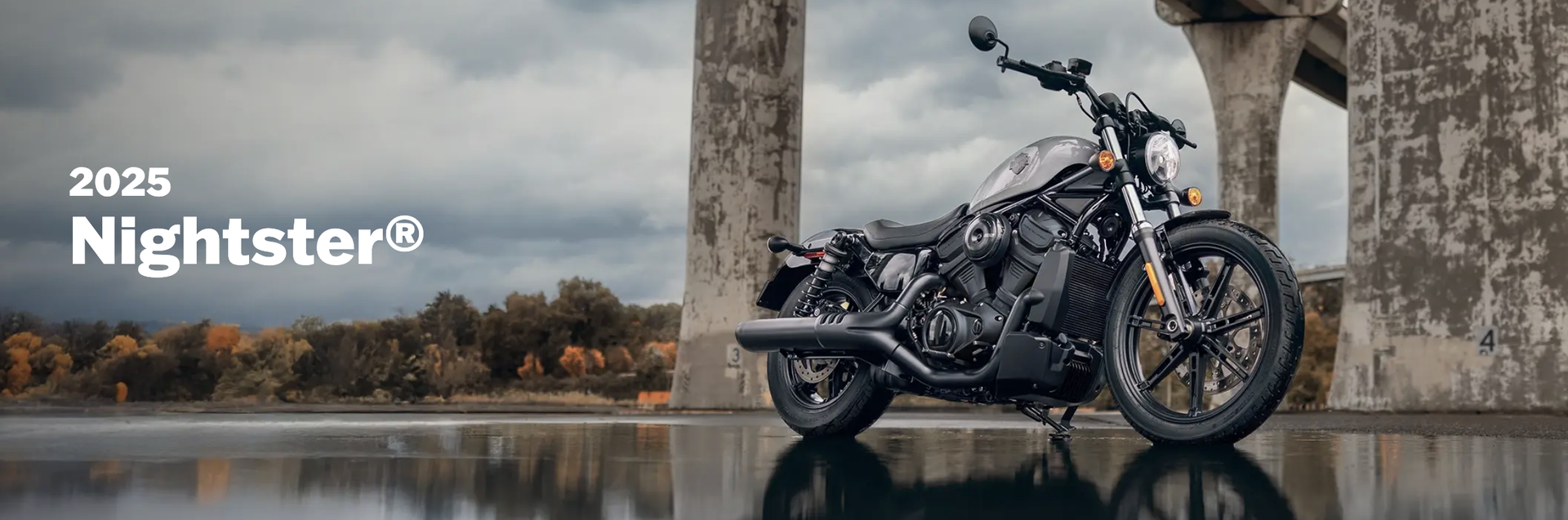 2025 Harley-Davidson Nightster For Sale In Escondido 2025 Harley-Davidson Nightster For Sale In Escondido