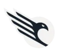 Rapid FC Logo