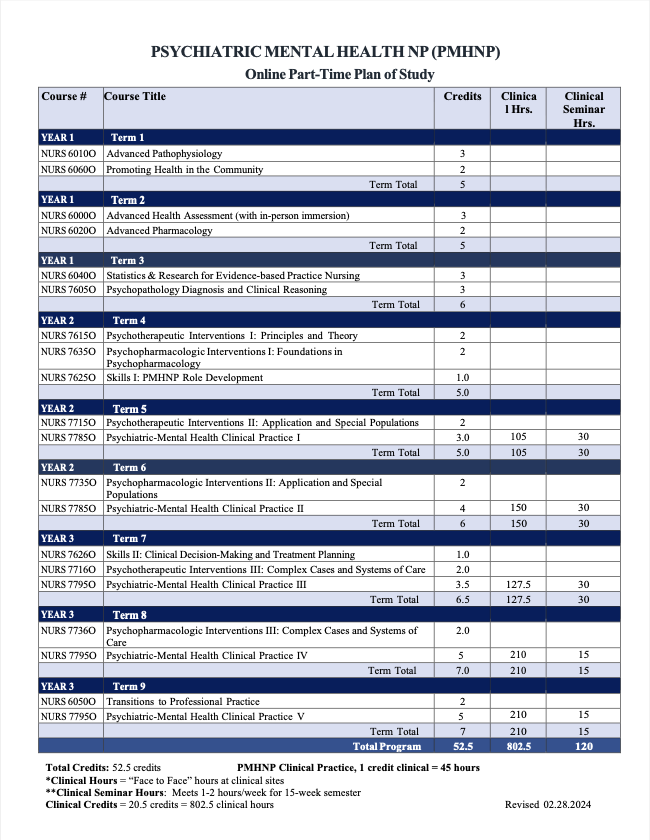 Hybrid MSN Plan of Study