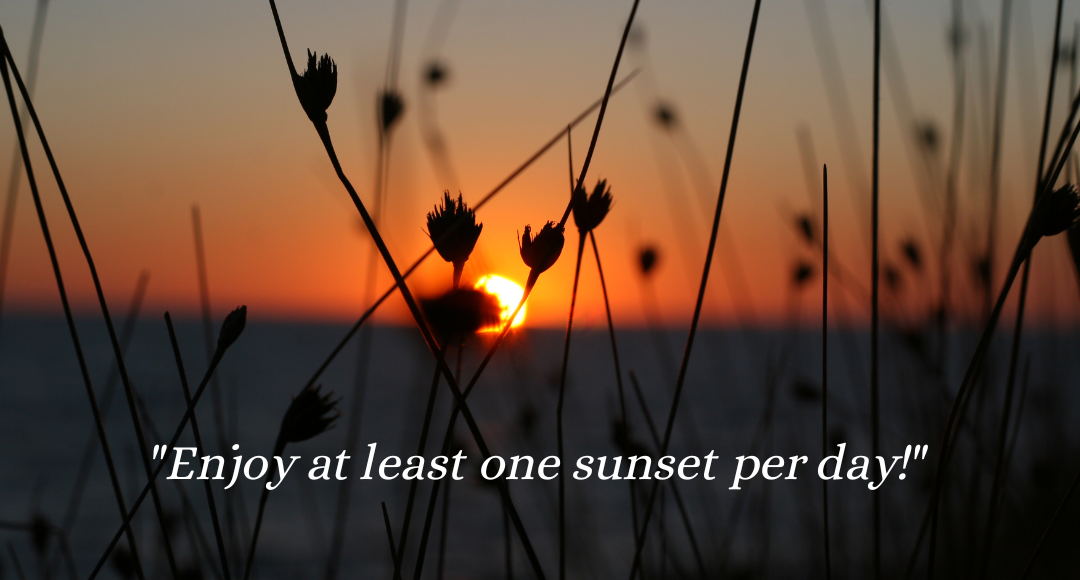 Picture of sunset through reeds with quote 