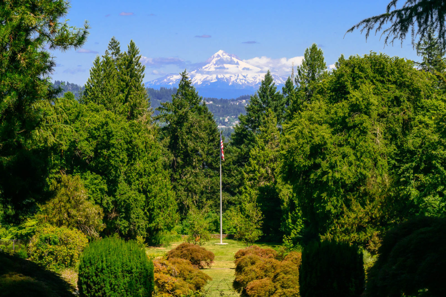 Lifestyle Image Lifestyle Image