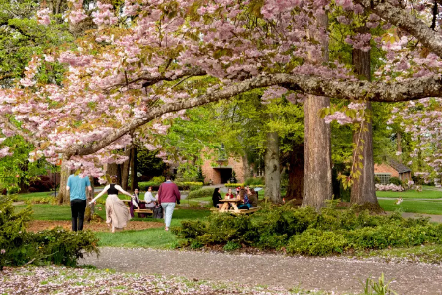 Lifestyle Image Lifestyle Image