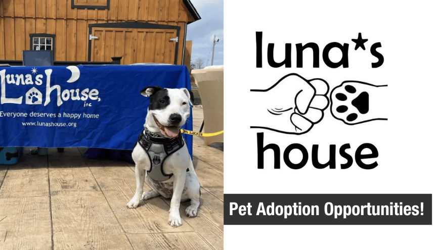 Luna's House Pet Adoption