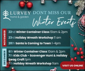 Lurvey Home & Garden | Don't Miss Our Winter Events