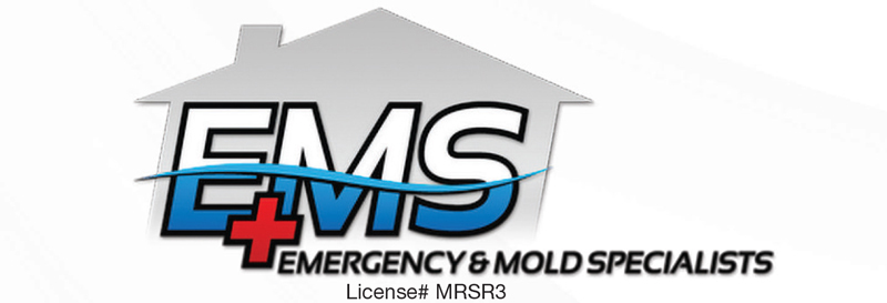 EMS_LOGO