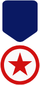 Veteran's badge icon