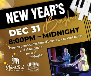 New Year's Dec 31 Bash! 8pm-Midnight