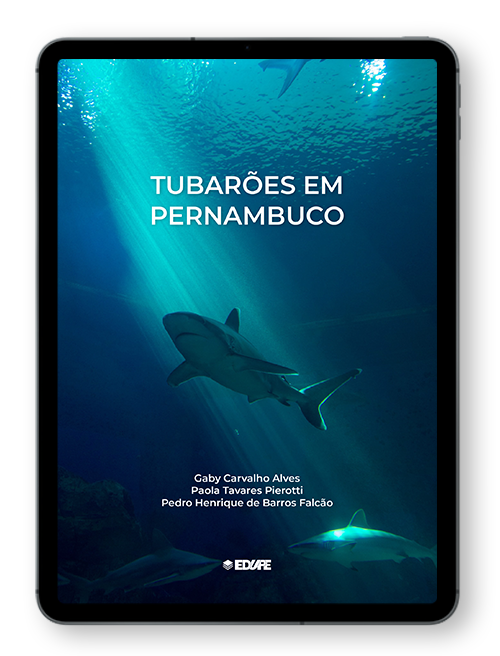 Capa do ebook Tubarões em Pernambuco