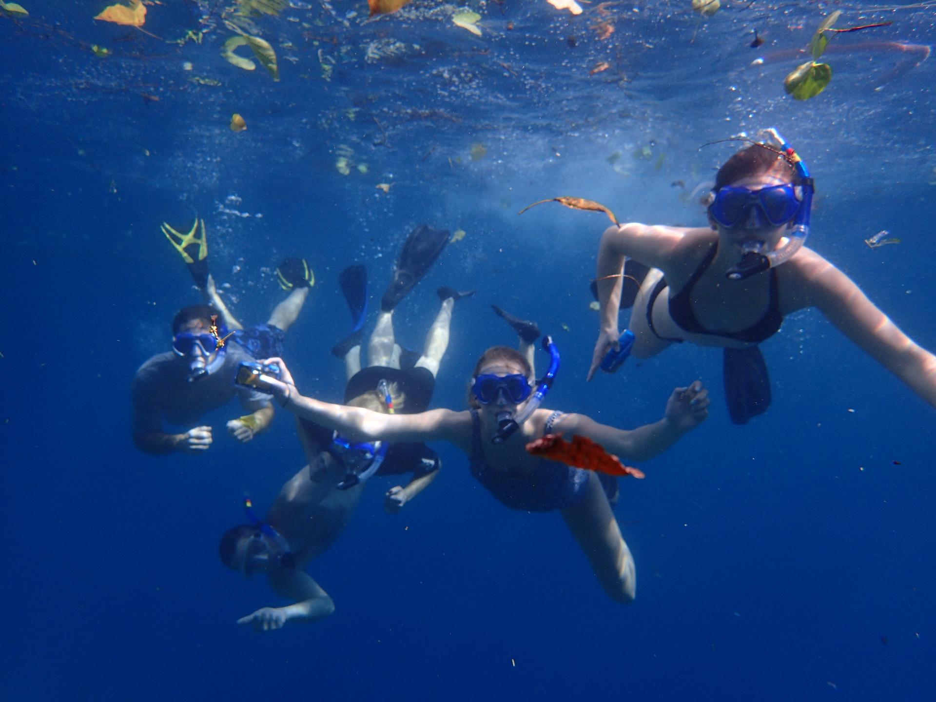 Family snorkel in Hawaii