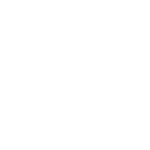 number 1 icon
