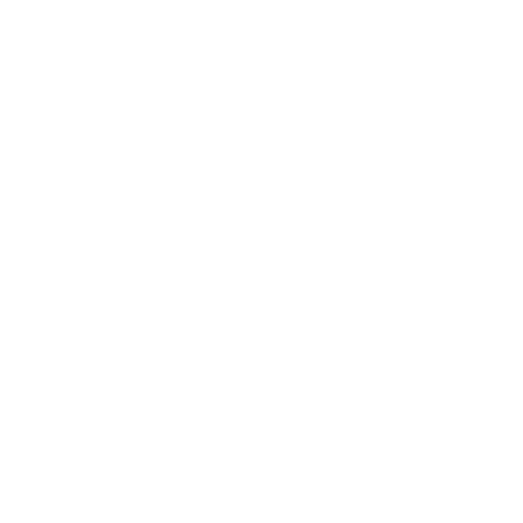 number 1 icon