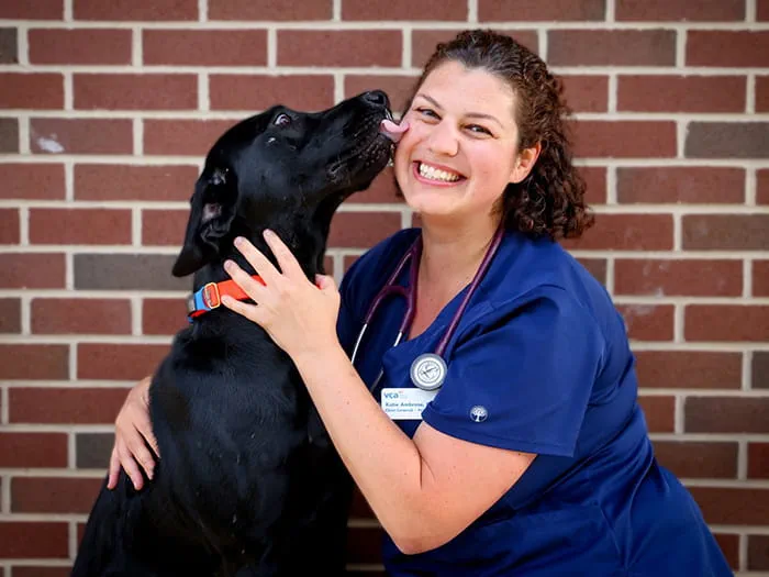 A female veterinarian in blue scrubs with a stethescope around her neck. She is with her black labrador retrevier who is sitting next to her. 