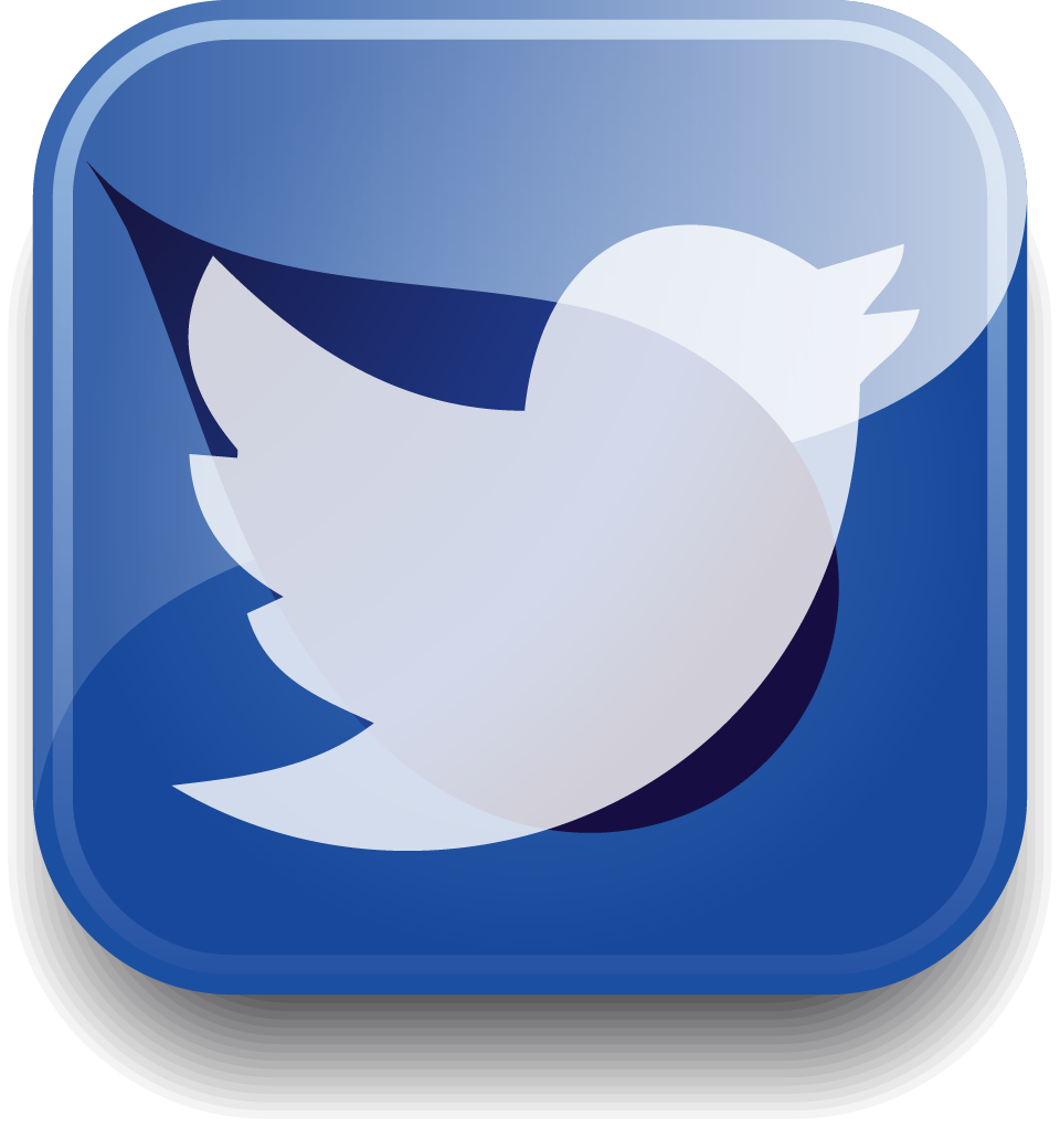 Twitter Icon