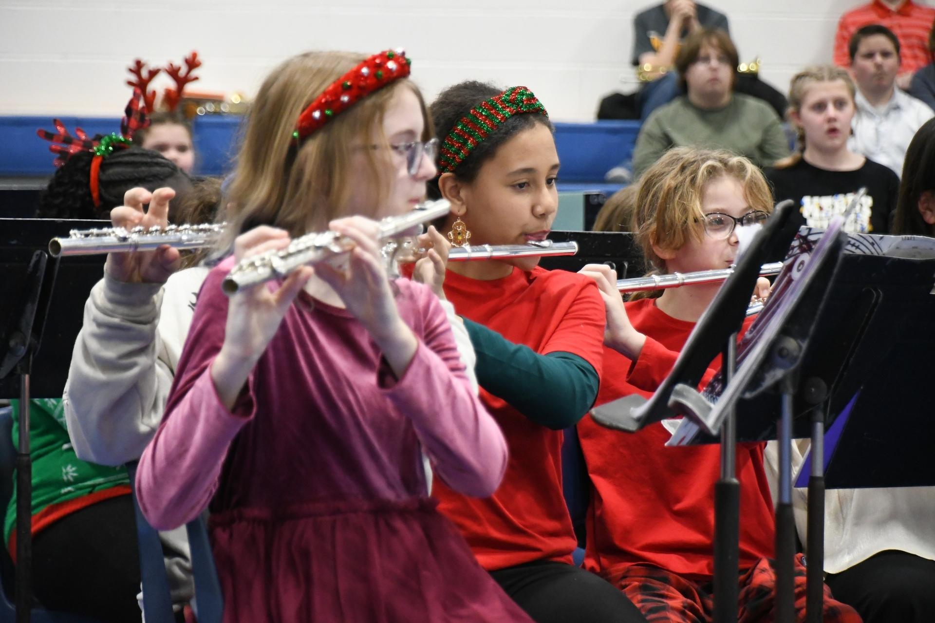 Picture of MMS Band & Choir Concert