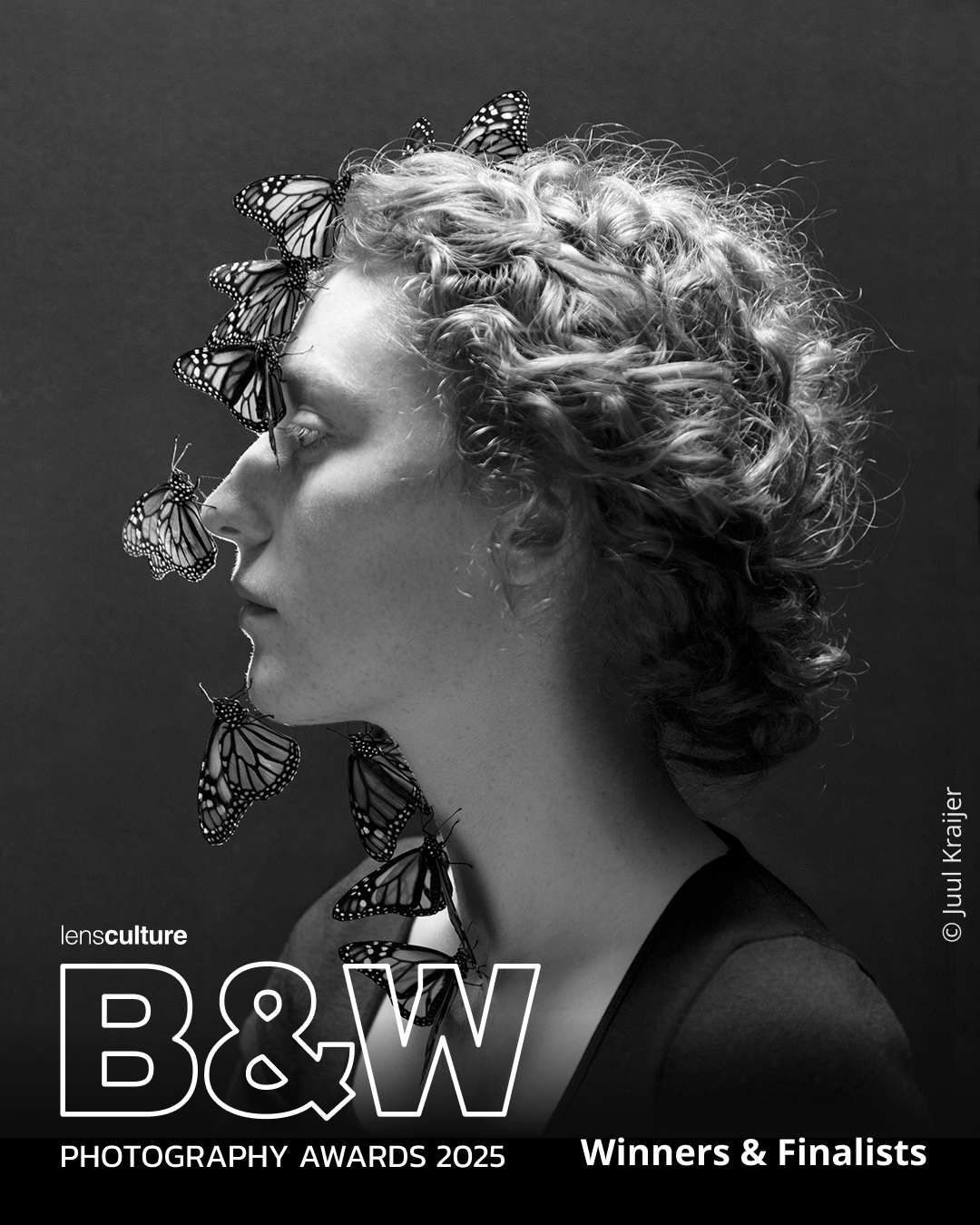 Winners and Finalists