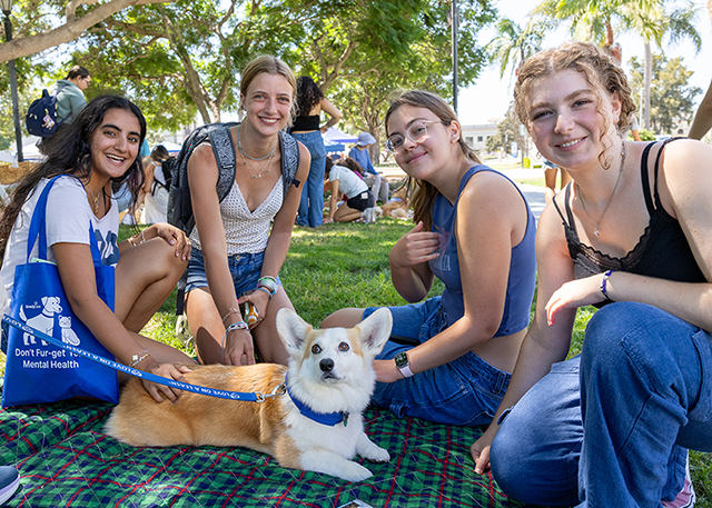 Students on lawn with corgi