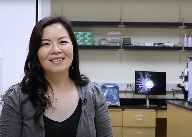 Cawa Tran screengrab