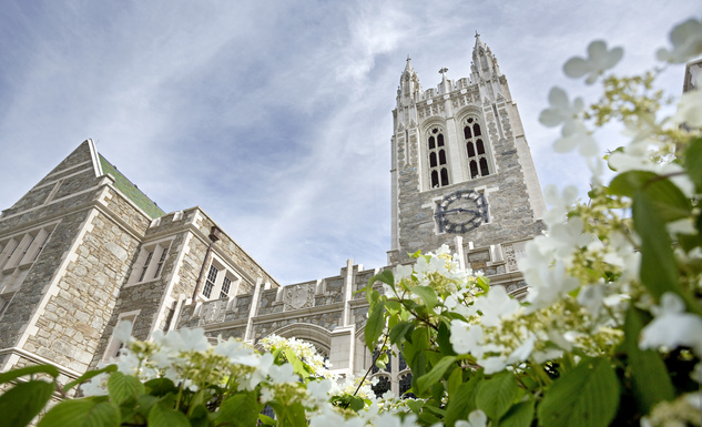Hydrangeas in front of Gasson Hall