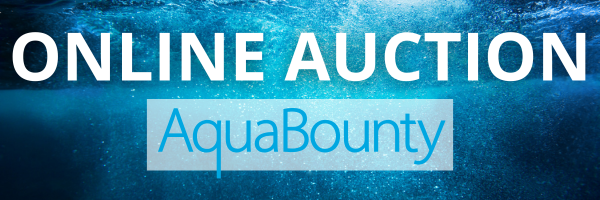 Online Auction: AquaBounty