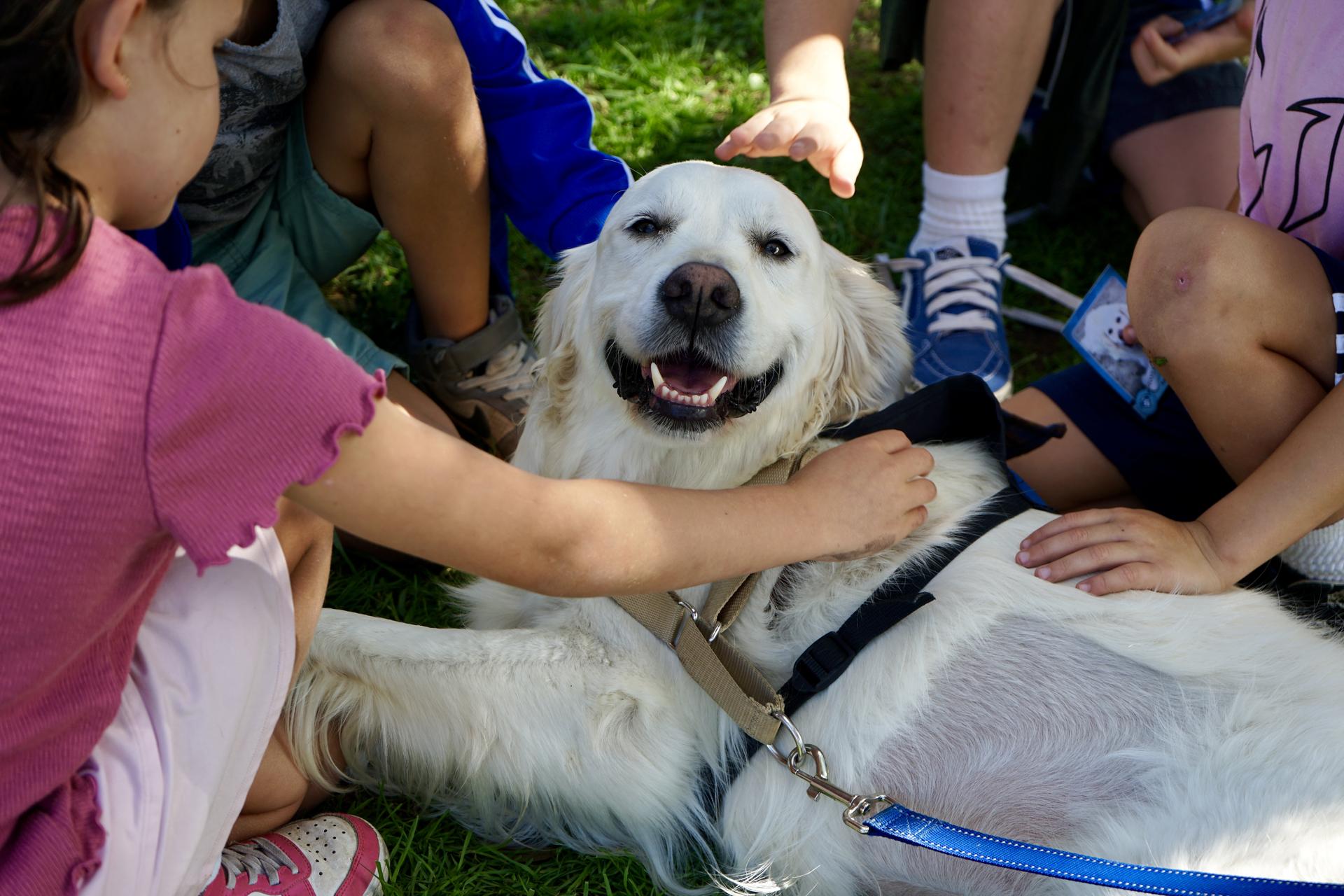 Student learns how to handcycle. 