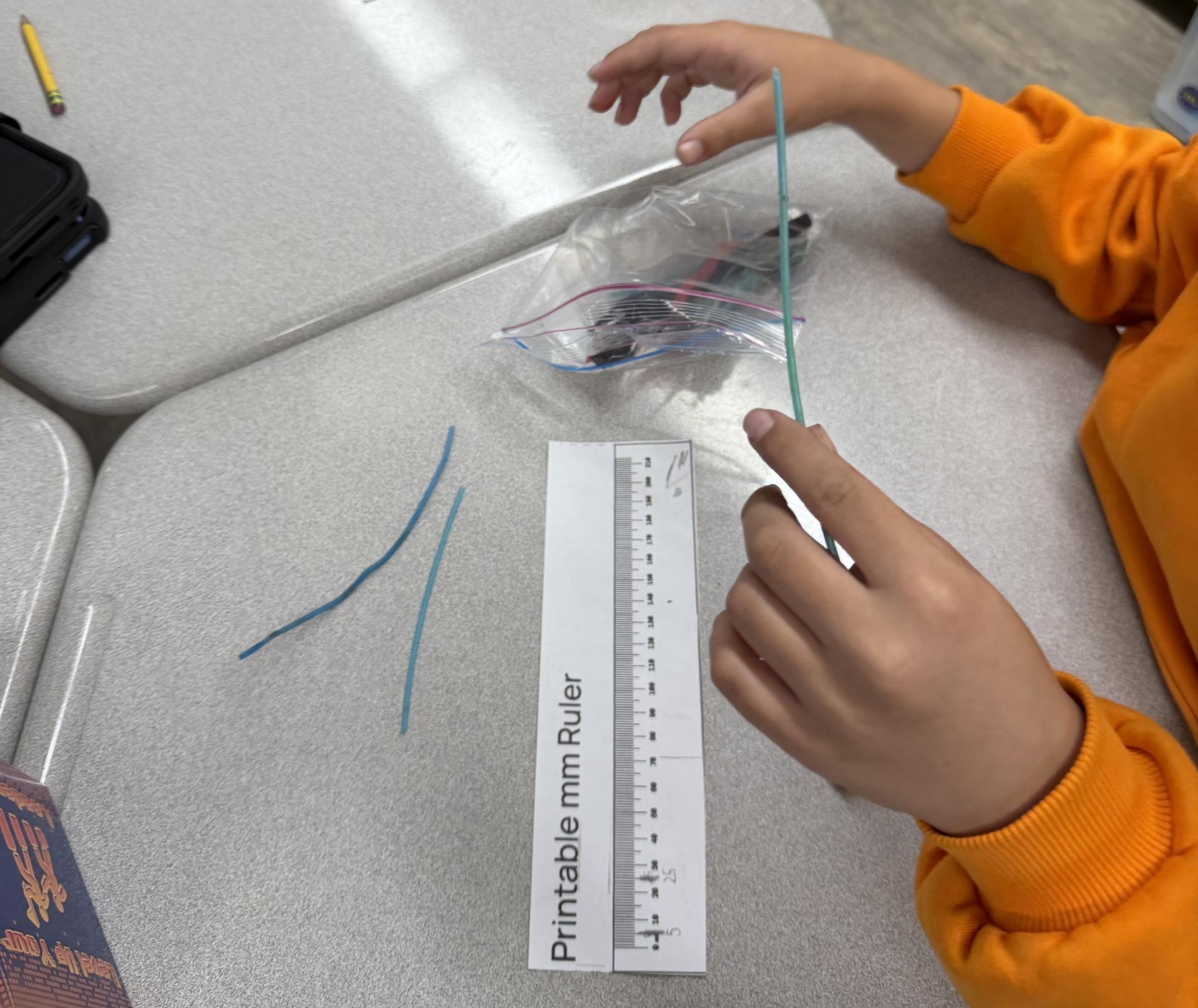 A student holding a clear plastic bag and and analyzing litter they collected in their neighborhood.